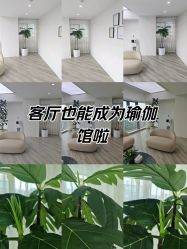 -HEYAN荷妍专业脱毛连锁机构