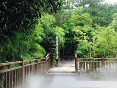 -天目湖涵田半山温泉