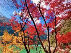 -叠溪松坪沟景区