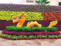 -云南民族大观园