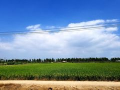 -渔闻农家菜