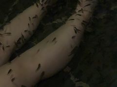 -龙达温泉生态城