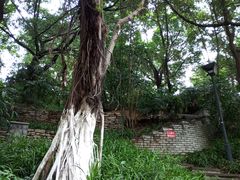 -龙头寺公园
