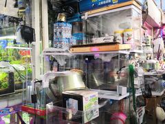 -万商花鸟市场