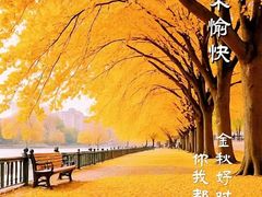 -八合里潮汕鲜牛肉火锅(福州万象城店)