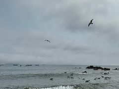 -银沙滩浴场
