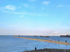 -上海吴淞炮台湾国家湿地公园