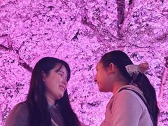 -西北湖绿化广场