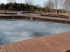 -东郊湿地公园