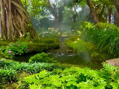 -Chom Cafe and Restaurant