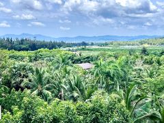 -三亚海棠湾万丽度假酒店