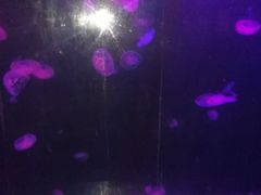 -重庆欢乐海底世界