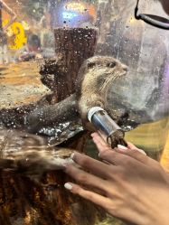 点击看大图 -Zoolung Zoolung动物主题公园(海信广场店)