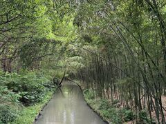 -同里国家湿地公园