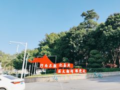 -集美学村