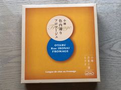 -关西国际机场直营免税店