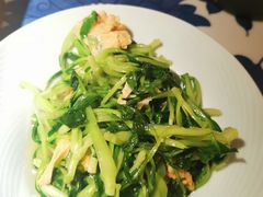 -吴莊(龙城万科里店)