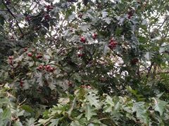 -北京宽沟会议中心