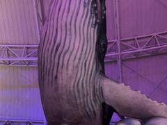 -烟台海昌鲸鲨海洋公园