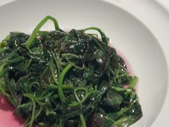-许家菜(DT51店)