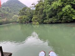 -深圳国际园林花卉博览园