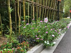 -上海市徐汇区口腔医院