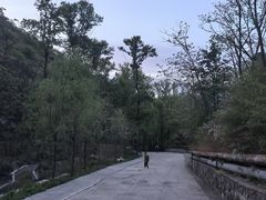 -雾灵西峰
