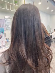 -YESIDO椰岛造型
