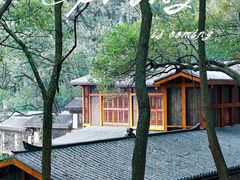 -南山植物园