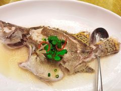 清蒸桂花鱼-广州逸林假日酒店·四季桃源中餐厅(白云山风景区店)