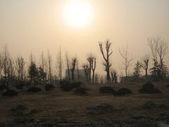 11-济南森林公园