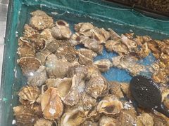 -初色海鲜自助(万丰路店)