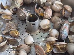 -良师门滨海人家·海鲜·家常菜(滨海城店)