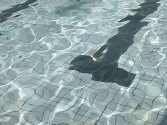 -牡丹游泳馆(金山馆)