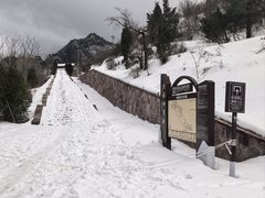 -王莽岭风景区