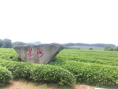 -凤凰沟景区