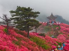 -木兰云雾山
