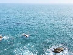 -广东惠东海龟国家级自然保护区