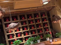 -泥糊破店小酒馆·团建聚餐(南京西路店)