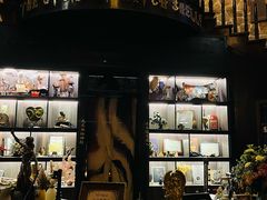 -雪灵魔法世界SHELLY’S TAROT(大良桂畔里店)