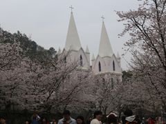 -团城山公园