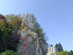 -鼎湖山风景区