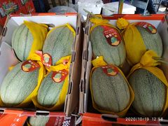 -双福水果批发市场
