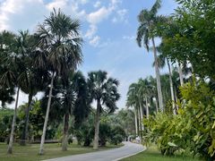 -中国科学院西双版纳热带植物园