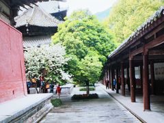 -报恩寺(平武县)