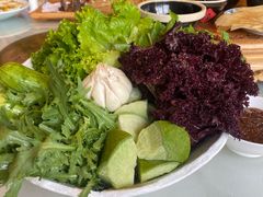 -食家鸽园