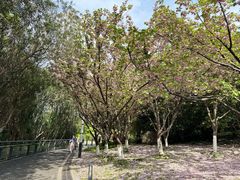 -苏州河梦清园环保主题公园