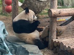 -大连森林动物园