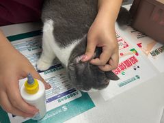 -伟伟宠物医院·CT影像中心·瑞派犬猫综合性门诊(汉口总院)