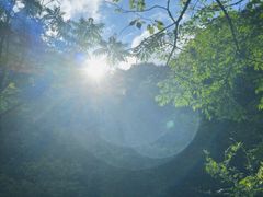 -鹿院坪生态旅游景区